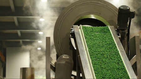 Green Pea Production Line